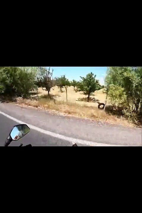 motovlog