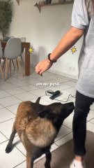 L’odeur de la Toun : une expérience sensorielle unique