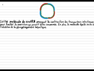 Un médicament pour perdre du poids