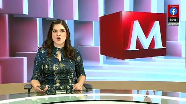 La Fiscalía de Michoacán aseguró granadas, droga y animales exóticos como un lince y una tortuga