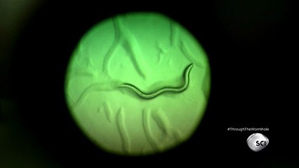 Through The Wormhole Season 6 Episode 4 Do We Live in the Matrix? | Morgan Freeman