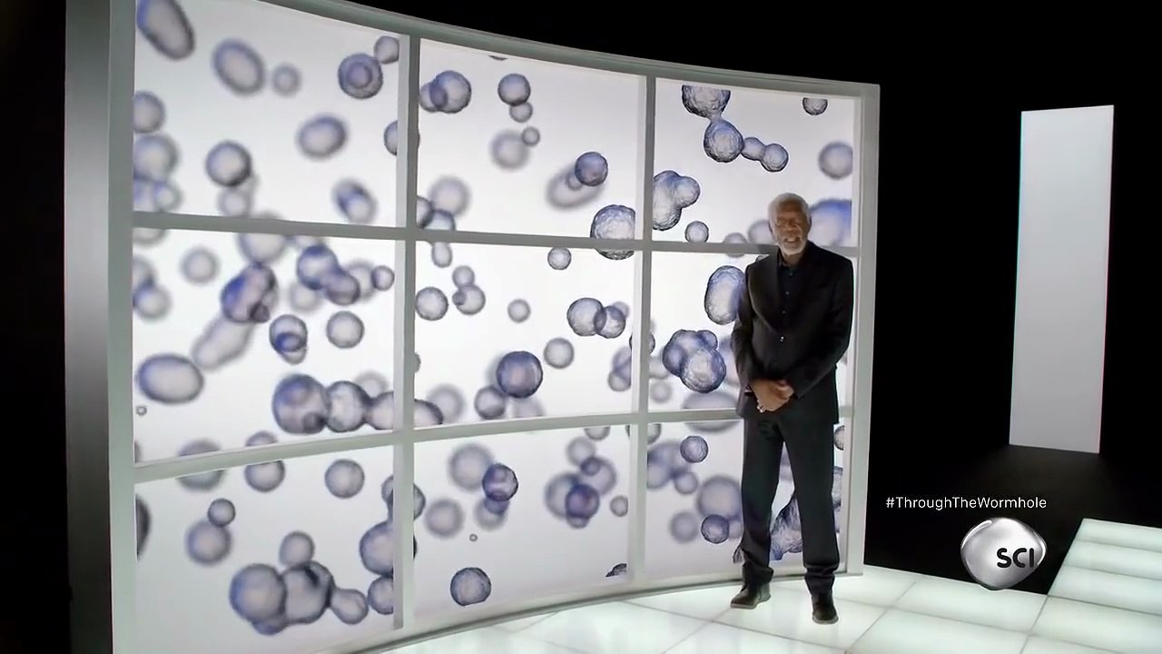 Through The Wormhole Season 6 Episode 3 Are We Here for a Reason? | Morgan Freeman