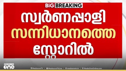 സ്വർണപ്പാളികൾ ഇന്നലെ രാത്രി തിരികെയെത്തിച്ചു... | SWARNAPALI | SHABARIMALA