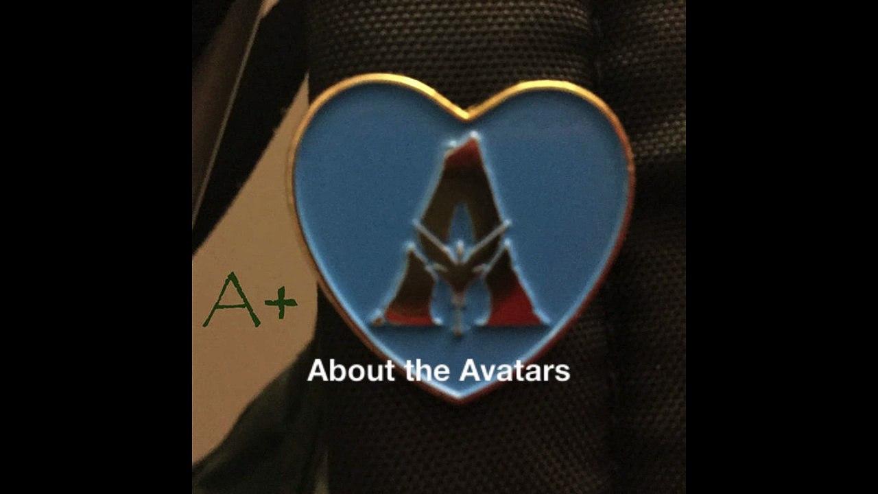 About the Avatars