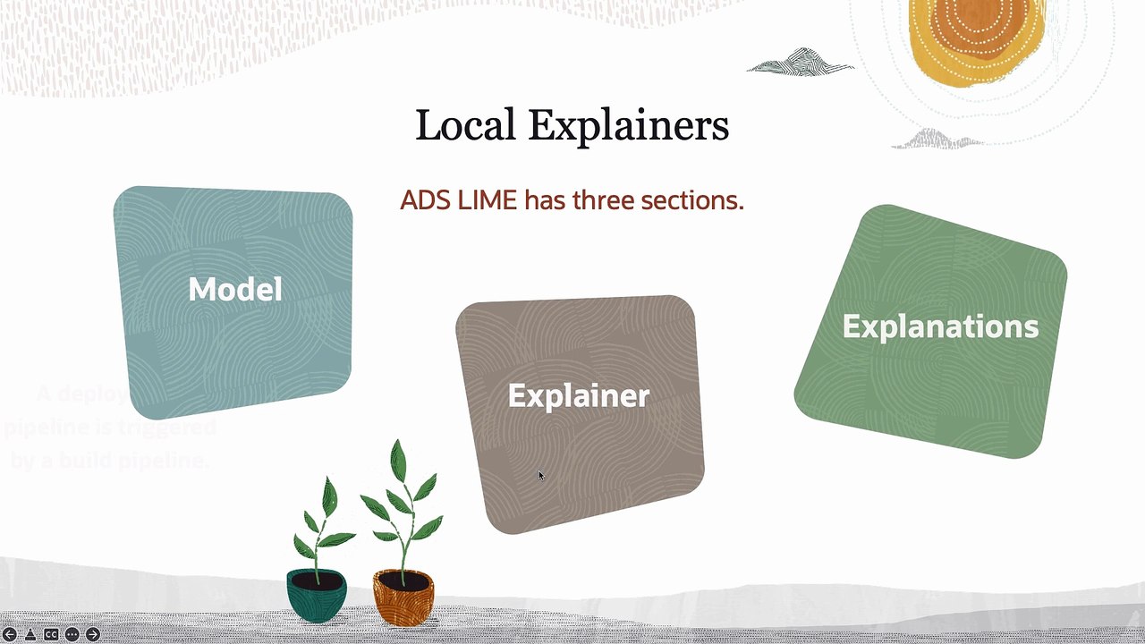 33. Model Explanations: Local Explainer - Oracle Cloud Infrastructure Data Science Professional