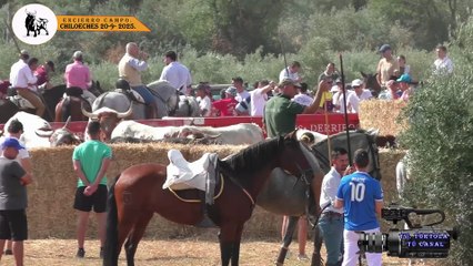 CHILOECHES 20-09-2025