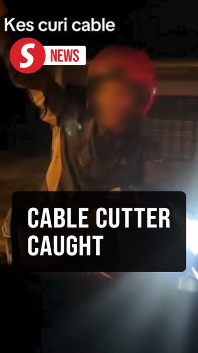 Man arrested for cutting roadside cables in Johor