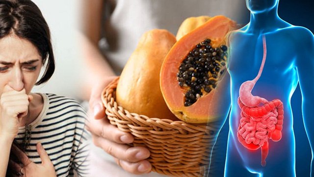 Khali Pet Papita Khane Se Kya Fayda Hai,खाली पेट पपीता खाने के फायदे | Papaya Benefits | Boldsky