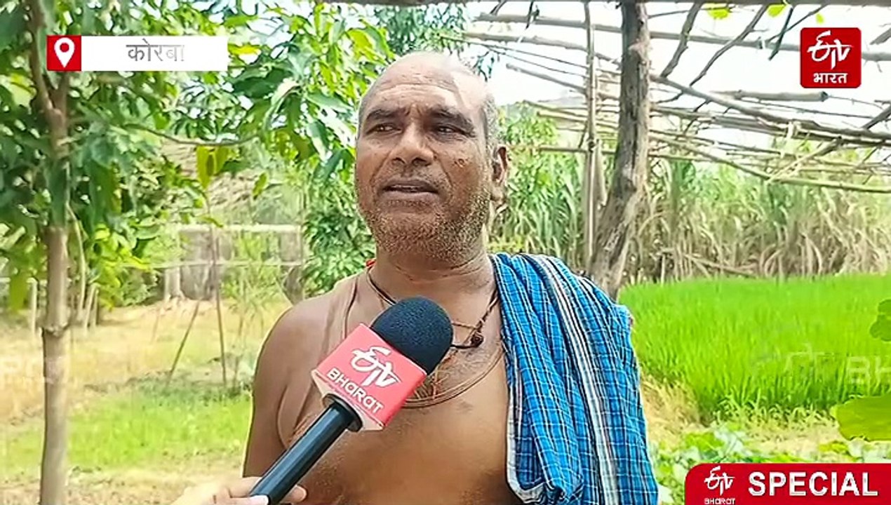 पंजीकृत किसानों के लिए एग्रिस्टेक पोर्टल पर नया पंजीयन बना मुसीबत, कोरबा में 9 गांव के किसान परेशान
