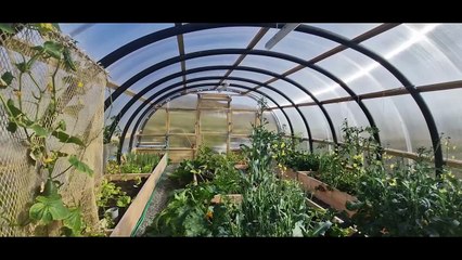 Polycrubs: Revolutionary Shetland Invention Enhances Lives Worldwide 🌱