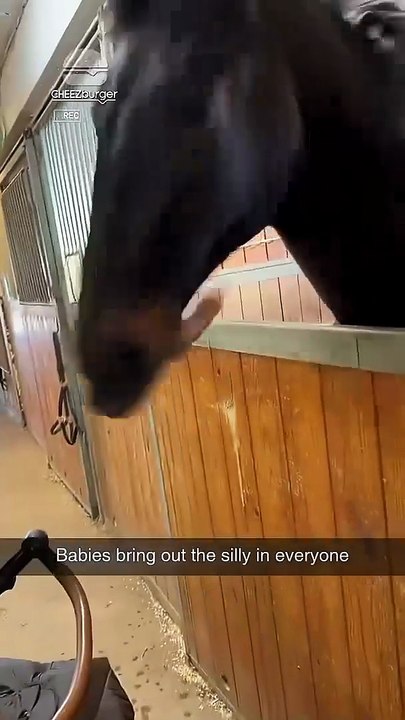 The things horses will do just to make a baby laugh