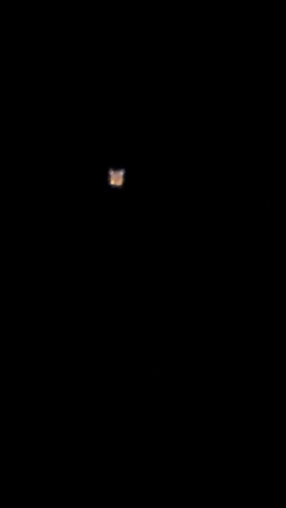 Strange Lights In Texas Sky UFO or Satellite? Feral Cats & Kittens. ZolaEnterprises.com Cat Lady Babble
