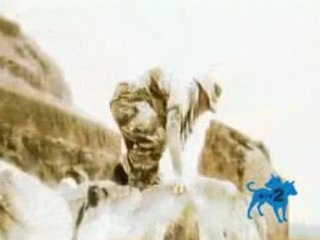 FIREWIND - Mercenary Man