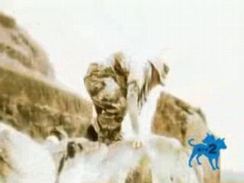 FIREWIND - Mercenary Man