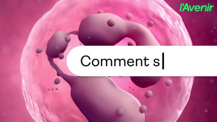 Santé/Greffe de cellules souches