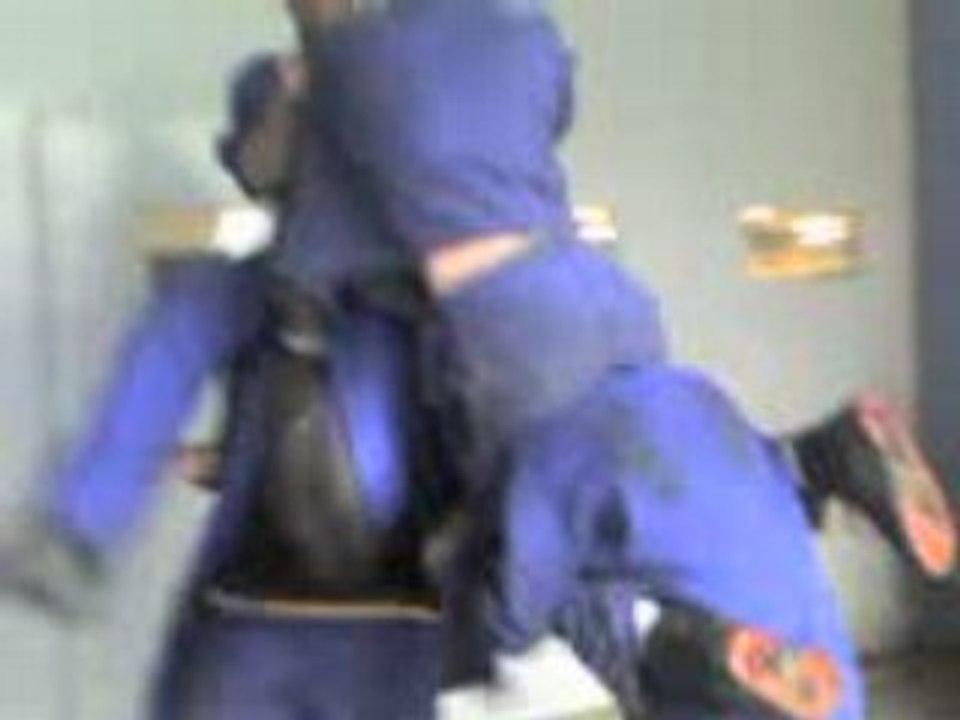 Combat de cheval