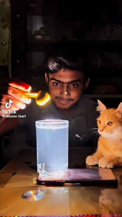 TikTok Video