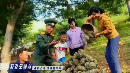 Colheita de frutas silvestres no condado de Sijung