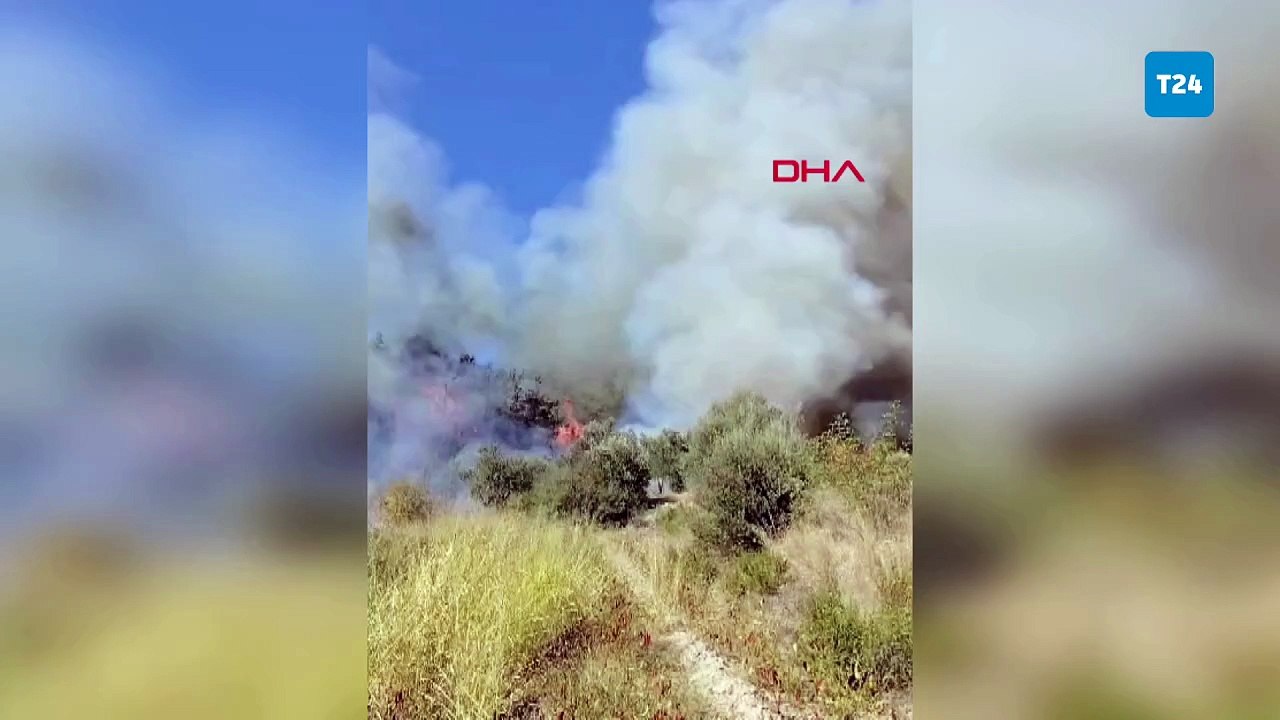3 ilde peş peşe orman yangınları: Antalya