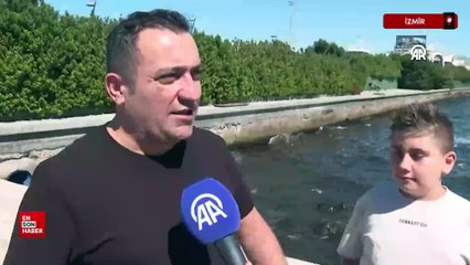 İzmir Körfezi'nde balık ölümleri sürüyor