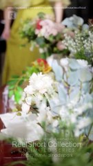 the alpha's bride dailymotion