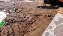 Excavator cleans mud in river