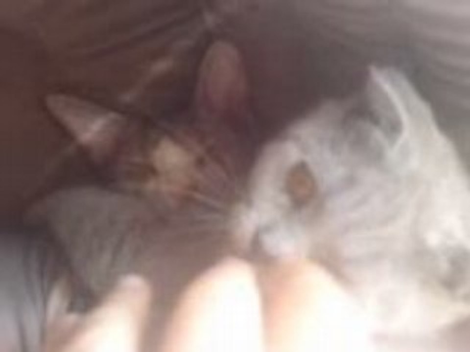 Denver fait un calin!