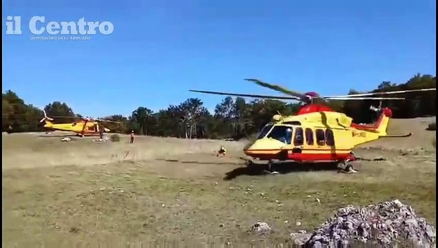 Image from field_mediaid