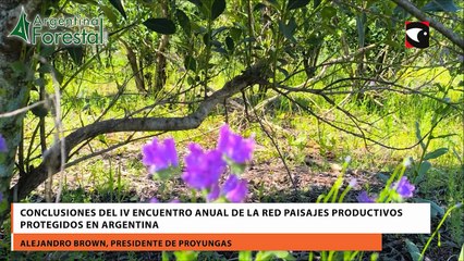 Conclusiones del IV Encuentro Anual de la Red Paisajes Productivos Protegidos en Argentina