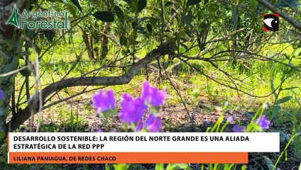 Desarrollo sostenible: la región del Norte Grande es una aliada estratégica de la Red PPP