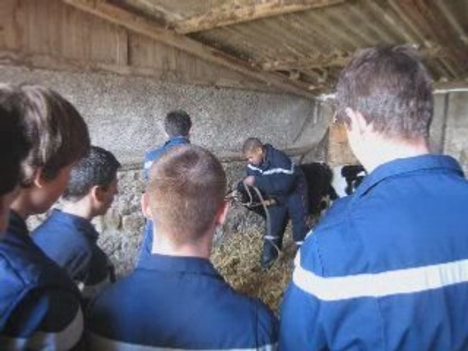 Journée animalière