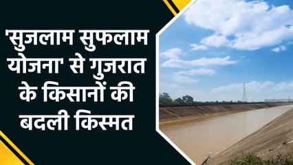 'सुजलाम सुफलाम योजना' से गुजरात के किसानों की बदली किस्मत
