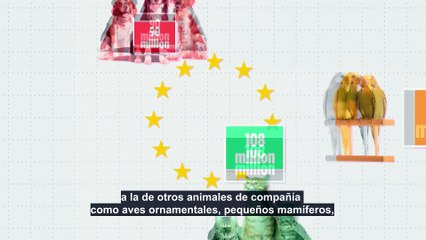 Perros de mascota: ¿En qué país de la UE es más popular el mejor amigo del hombre?