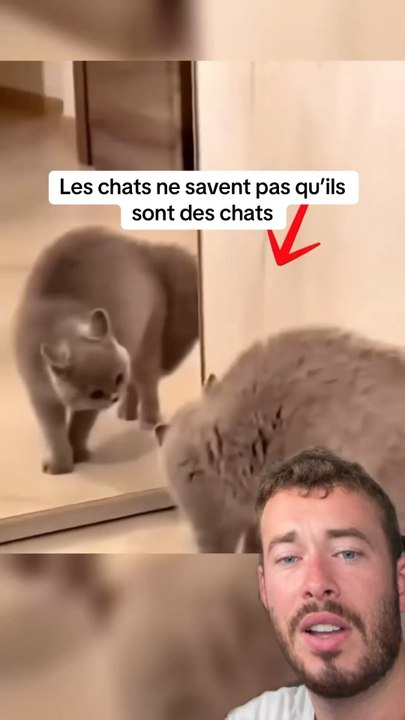 C’est assez drôle 😂