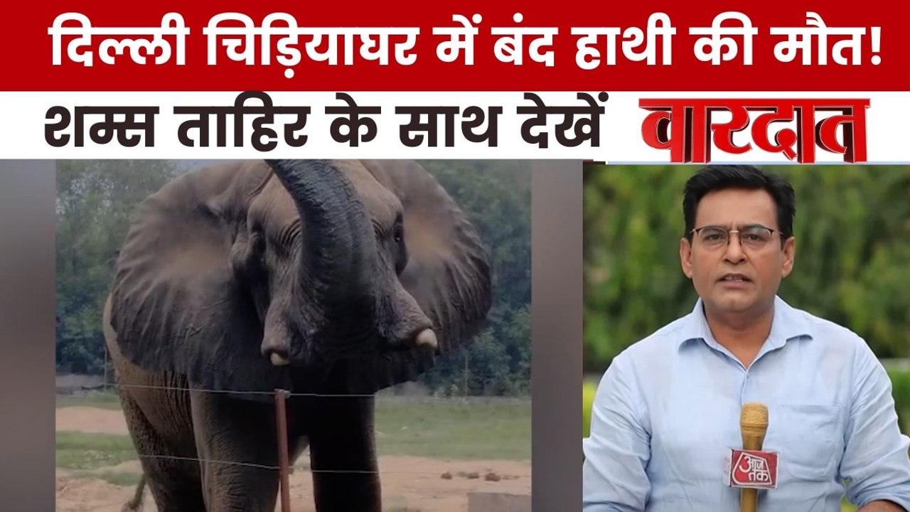 क्या तन्हाई ने ले ली दिल्ली चिड़ियाघर के हाथी 'शंकर' की जान, देखें वारदात