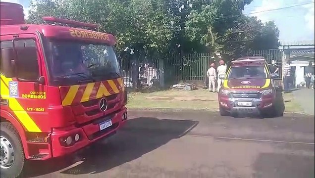 Árvore cai em cima de residência no Bairro Periolo, em Cascavel