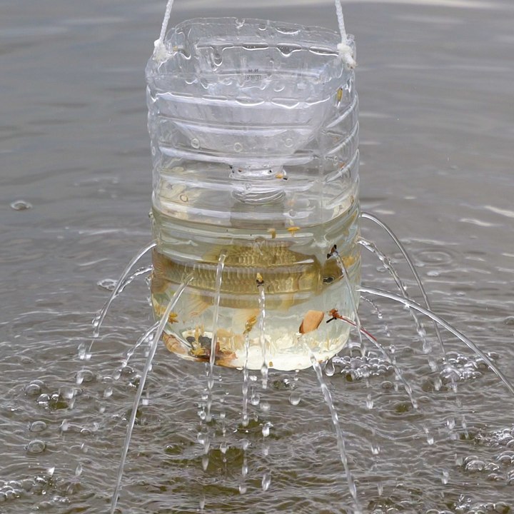 How to get food in the wild: hunting, tricky traps, hacks for catching fish and collecting water.