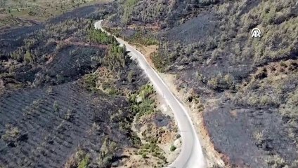 Muğla'da yangından zarar gören alanlar havadan görüntülendi