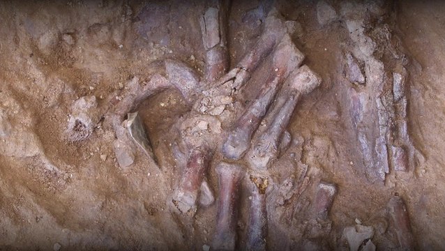 Excavation Reveals Neanderthal Skeleton In Iraq