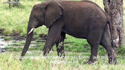 1 Million Pounds… Floating? Clouds Expose the Gravity Hoax