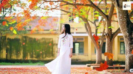 Mùa Hè Chia Xa | Bolero Hoài Niệm Buồn Man Mác