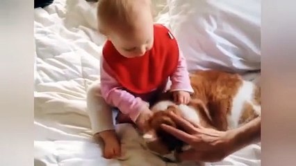 "Naimlkas Try Not to Laugh 2025 😂 Best Funny Animal Fails and Cute Pet Compilation"