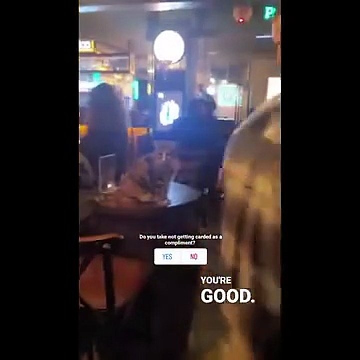 "Naimlkas Funny Animal Compilation 2025 😂 Cute Cats and Crazy Dog Fails | Try Not to Laugh Challenge"