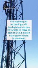 AI-powered cameras to safeguard forests from bushfires