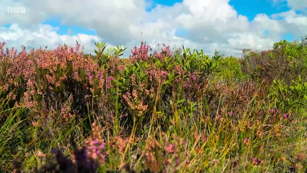 Countryfile - Solway Coast
