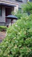 The Cold War Between Us Chinese Drama - Full Drama Movies