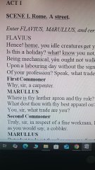 JULIUS CAESER, Act - I, Scene - I, Line No 1 to 15 Explained