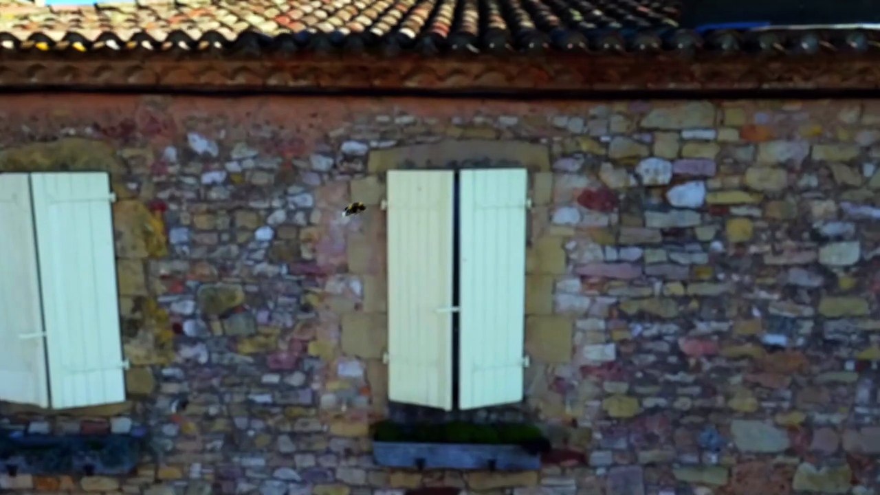 Das Dorf der wilden Tiere | movie | 2016 | Official Trailer