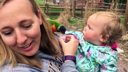 TRY NOT TO LAUGH  Funny Weekend At The Zoo - LAUGH TRIGGER