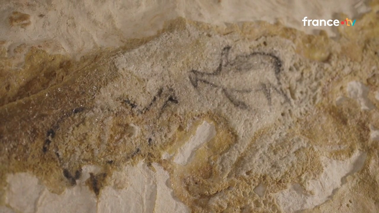 Science grand format - Grotte Cosquer, Homo sapiens et la mer